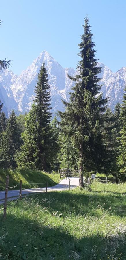 Nigritella Daire Kranjska Gora Dış mekan fotoğraf